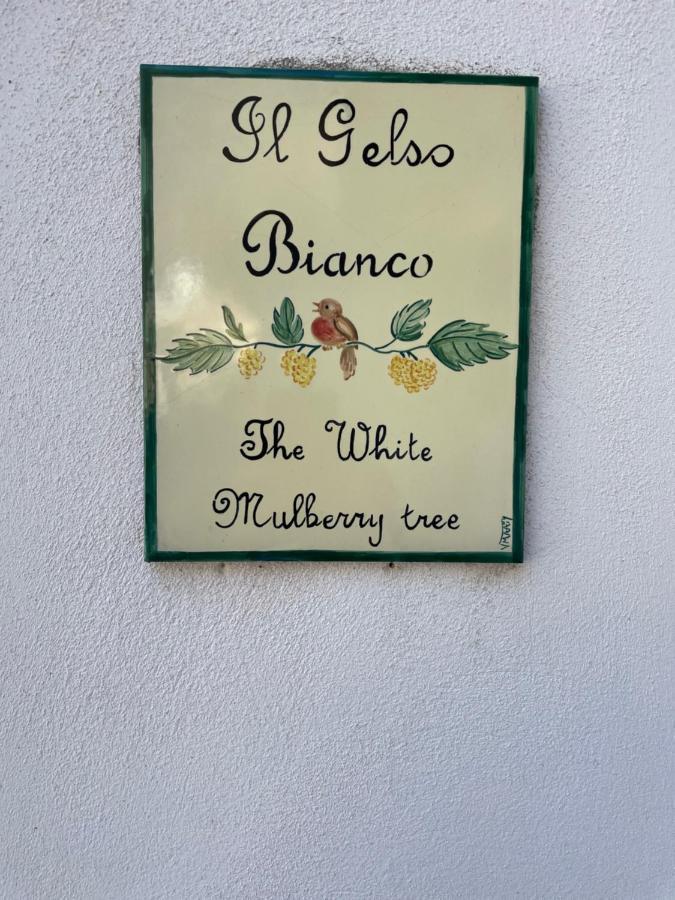 Вілла Il Gelso Bianco -The White Mulberry Tree Равелло Екстер'єр фото